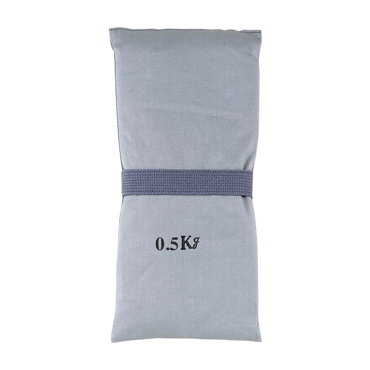 砂のう 435型(バンド体位固定用) 01-4445-01 セフティ 0.5KG