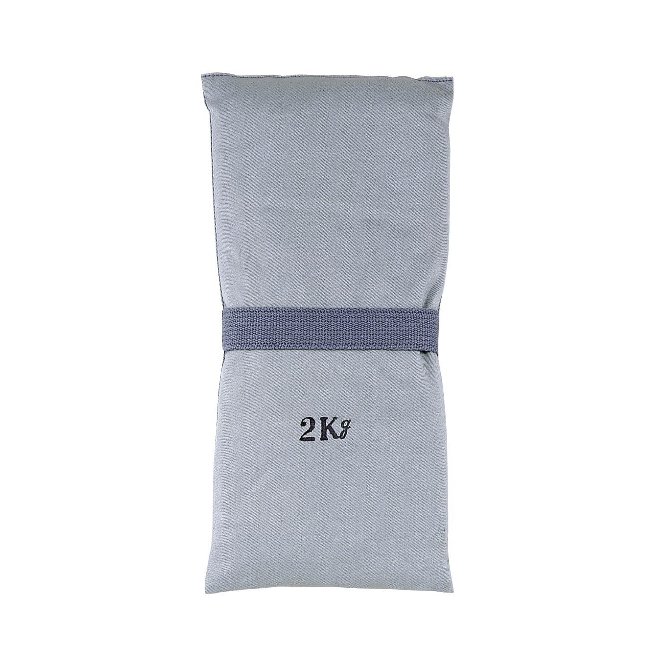 砂のう 435型(バンド体位固定用) 01-4445-03 セフティ 2KG