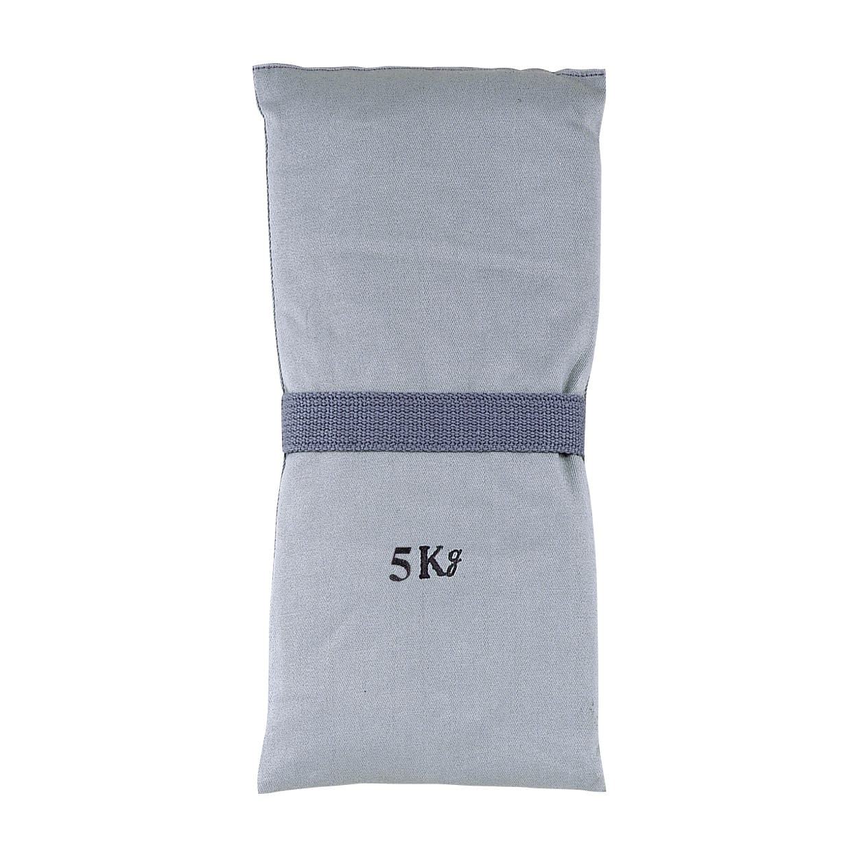 砂のう 435型(バンド体位固定用) 01-4445-06 セフティ 5KG