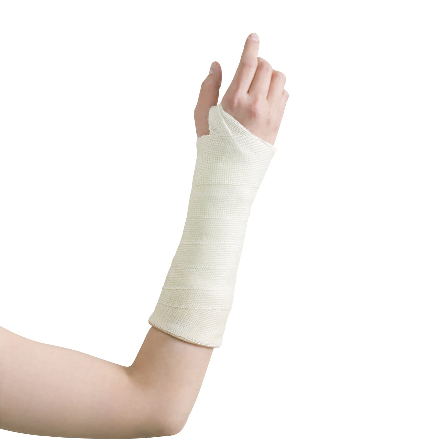 デルタライトプラス 2号 2号 23-3373-00 日本シグマックス 600102(5.0CM)10カン