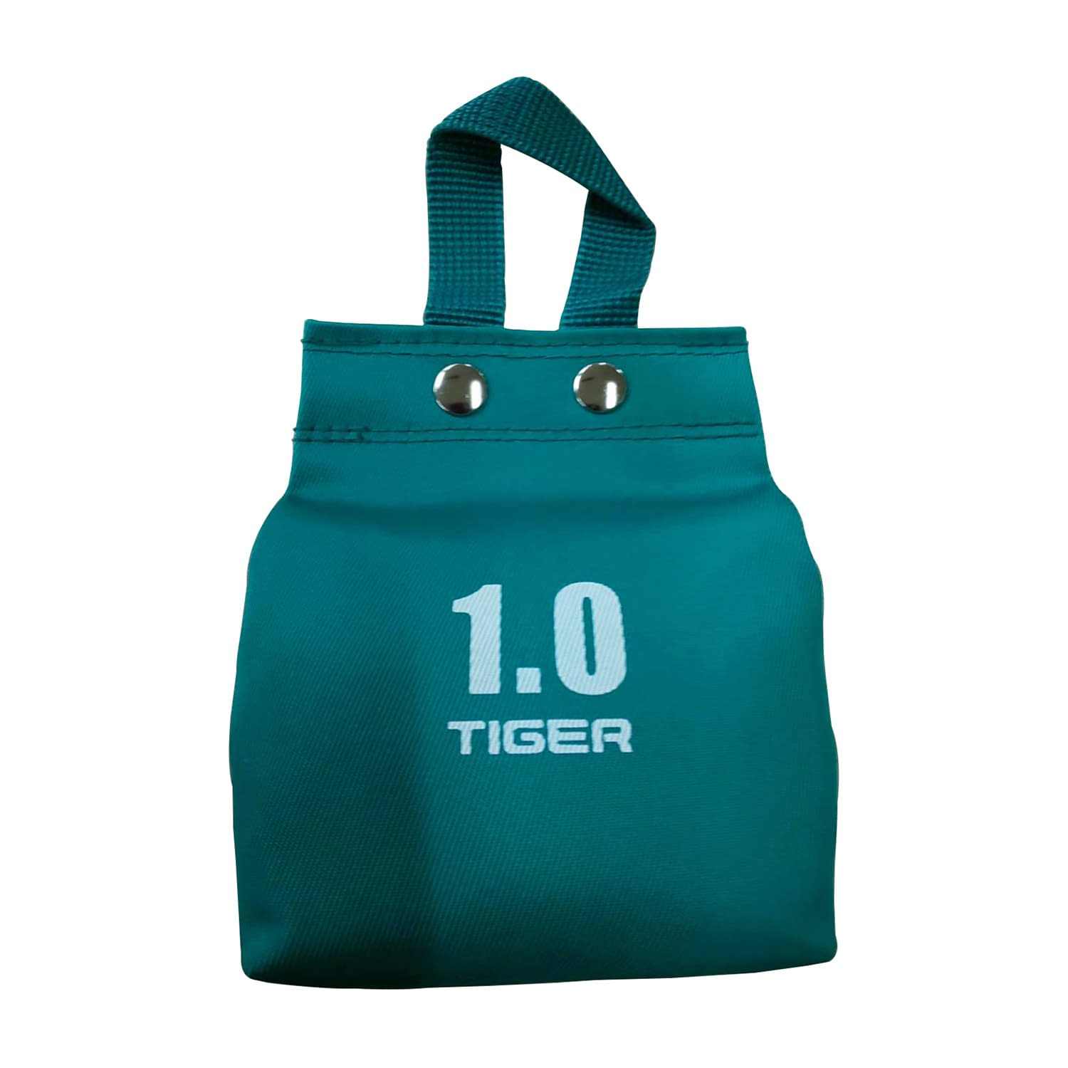 スチールバッグ(砂のう) 牽引用品 23-3051-14 タイガー医療器 R-528(1KG)