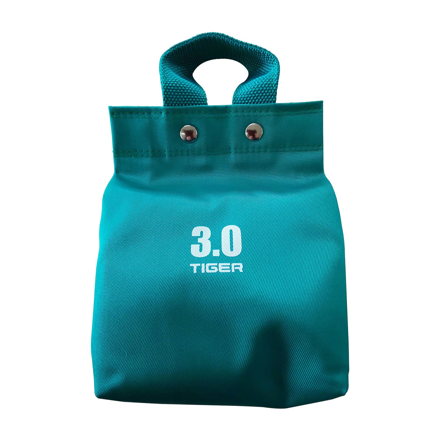 スチールバッグ(砂のう) 牽引用品 23-3051-16 タイガー医療器 R-528(3KG)