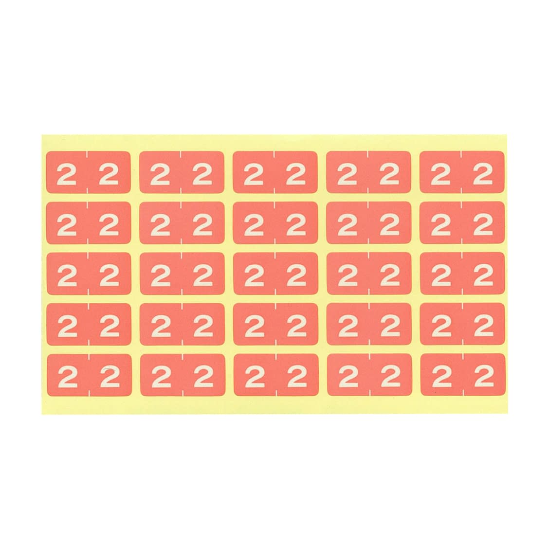 カラーナンバーラベル(M) カルテ 23-5604-0002 2 LIHITLAB. HK7753(タンバン)250ヘンイリ