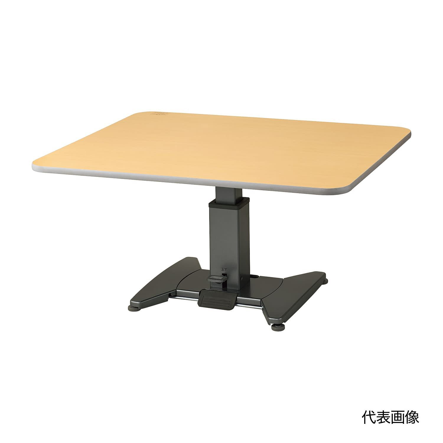 折りたたみ昇降テーブル(4人用) 4人用 介護テーブル 25-4786-00 ハビナース TLXS10T-YM915PB