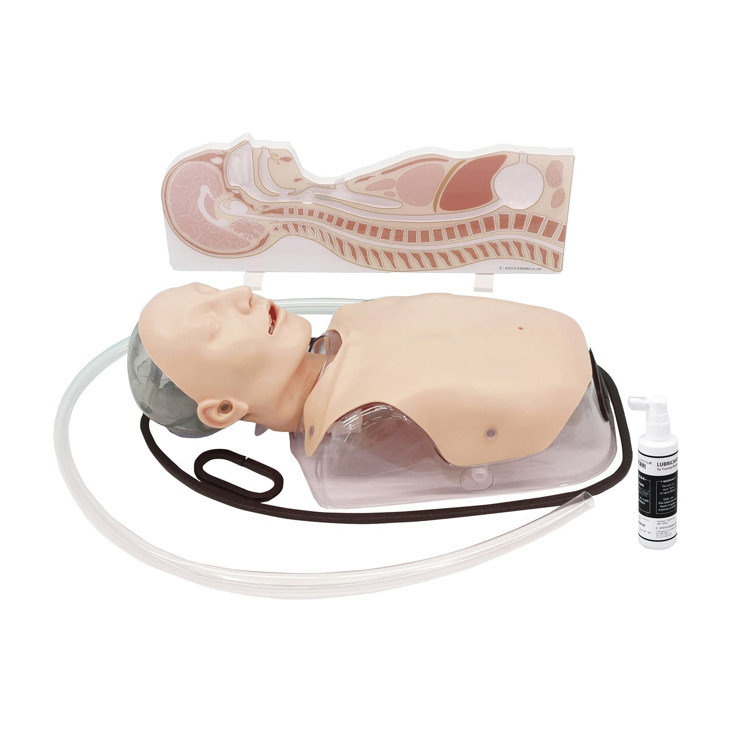 経管栄養シミュレータ(経鼻経口胃ろう トレーニングモデル 23-6529-00 京都科学 11386-000(MW8)