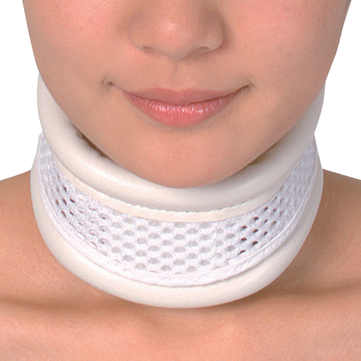 ドルフハード2号 24-8400-02 竹虎 035034(L)