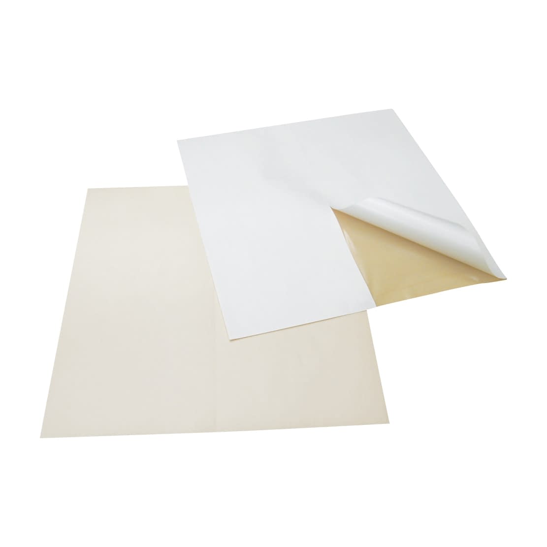 入浴用パウチ保護フィルム ライト ストーマケア用品 24-2183-00 ミムロ 400(20マイイリ)