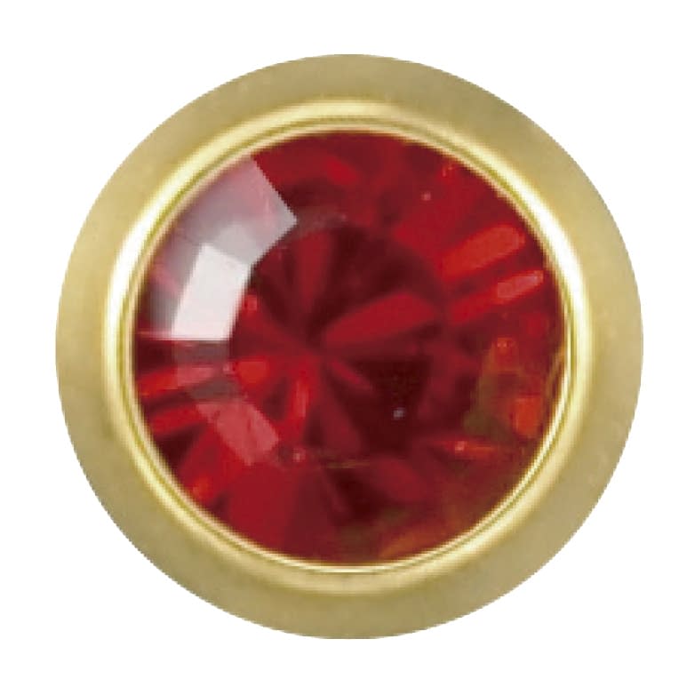 メディシステム ゴールド(レギュラー 7月ルビー 24-2129-07 ジェイ・ヒューイット 246-1(ルビー)12イリ