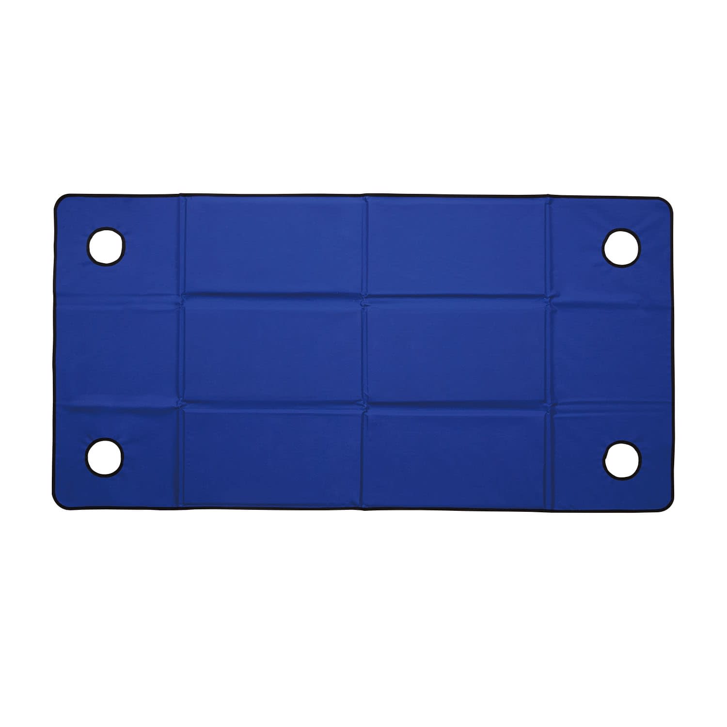 いいたんか 24-4959-00 ハクゾウメディカル 3396033