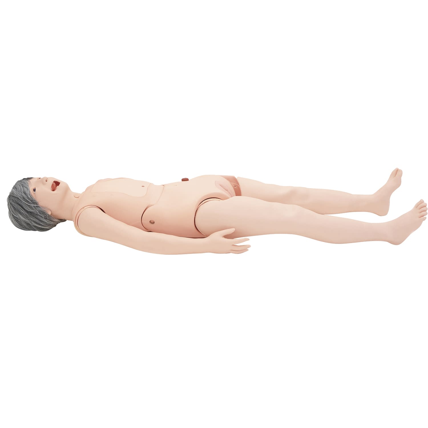 介護版全身モデル ケイコ 介護実習モデル 24-5404-00 京都科学 11405-000(MW26)