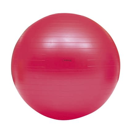 ボディボール55 25-2059-01 トーエイライト H7261