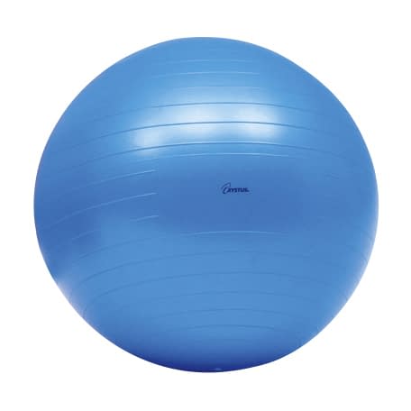 ボディボール65 25-2059-02 トーエイライト H7262