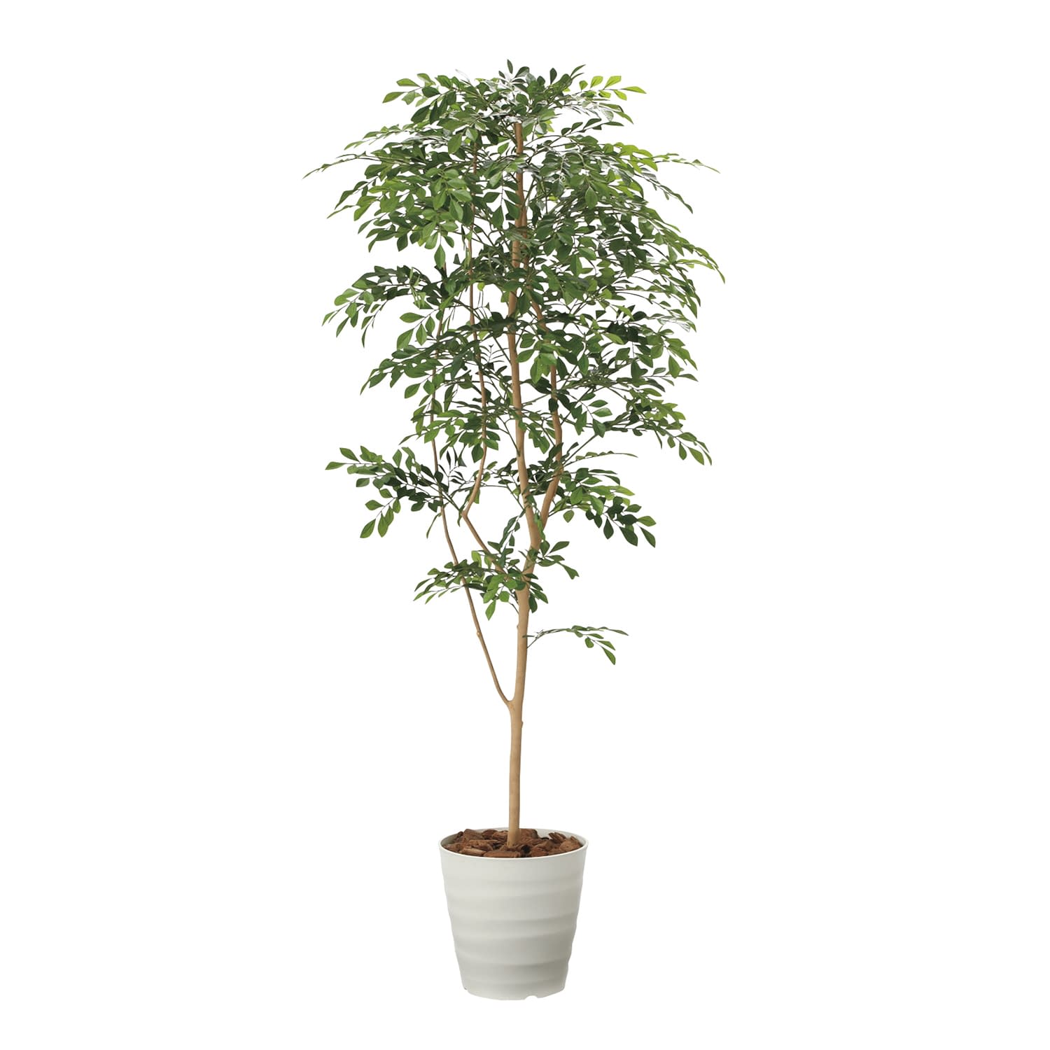 人工樹木 25-3808-01 ニシキ工業 FGN-TN18(トネリコ)