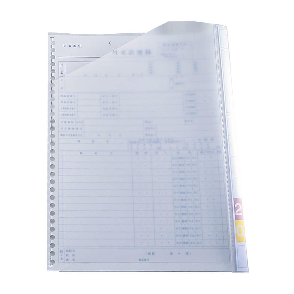 インナーファイル(A4用)多穴対応型 A4 08-2040-10 ケルン KS-050(303X225MM)