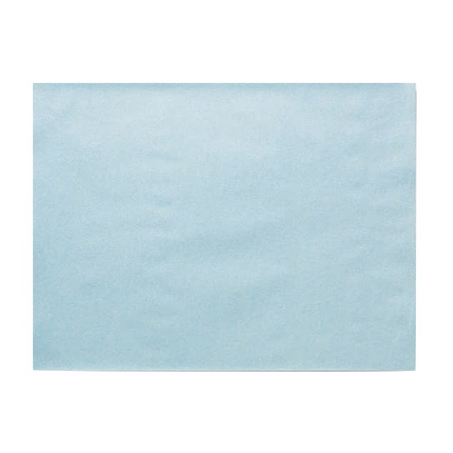 NSソフトシーツ(カットタイプ) カットタイプ 23-3781-00 日昭産業 NO.11(30X40CM)200マイ