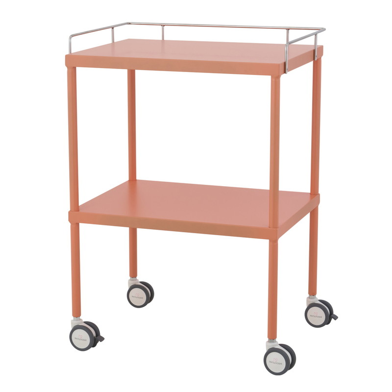 回診車 カラーセレクトワゴン(三方手摺付) MY-CSW01-BR｜25-4222-00