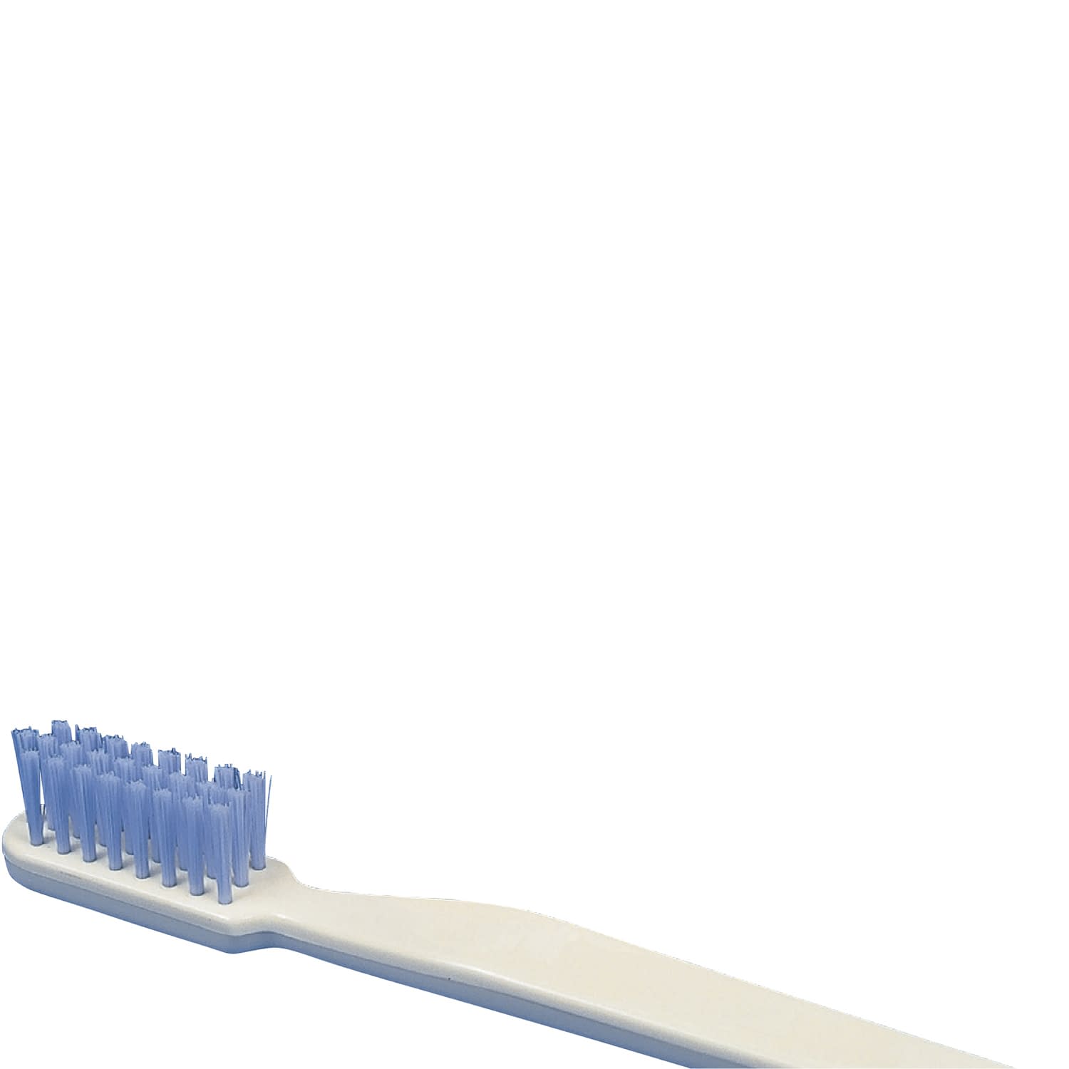 歯ブラシ模型 口腔ケア指導模型 11-2765-01 京都科学 12033-000(NNS4)