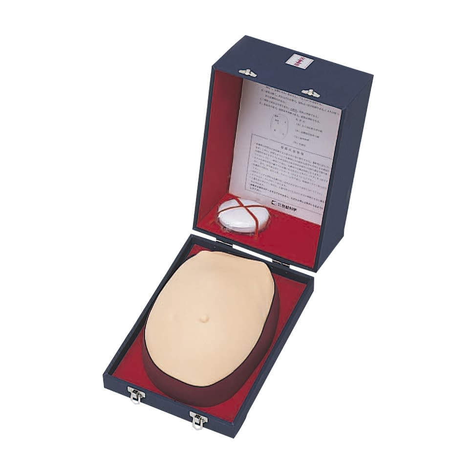 乳癌触診モデル(乳房腫癌触診用) トレーニングモデル 11-2745-00 京都科学 11325-000(M44)