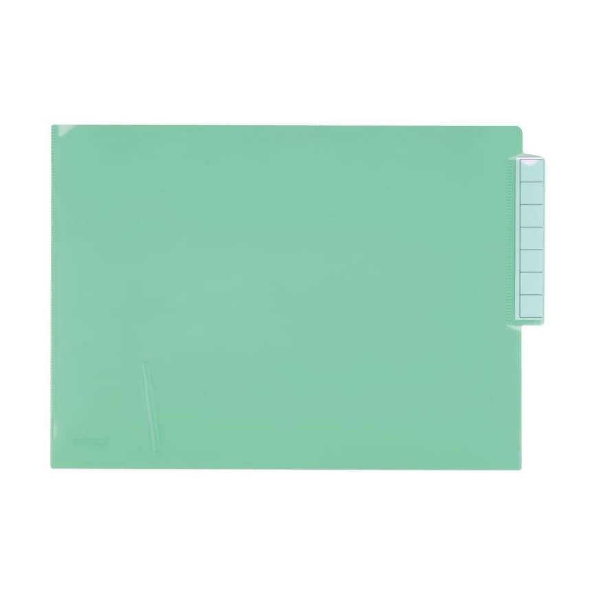 カルテフォルダー(シングルポケット) A4 カルテバインダー 23-2130-0019 クリスタルグリーン LIHITLAB． HK708(50マイイリ)