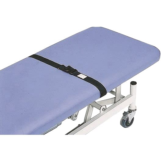 油圧上下式診察台用患者固定ベルト 23-5352-04 日進医療器 TY430-1