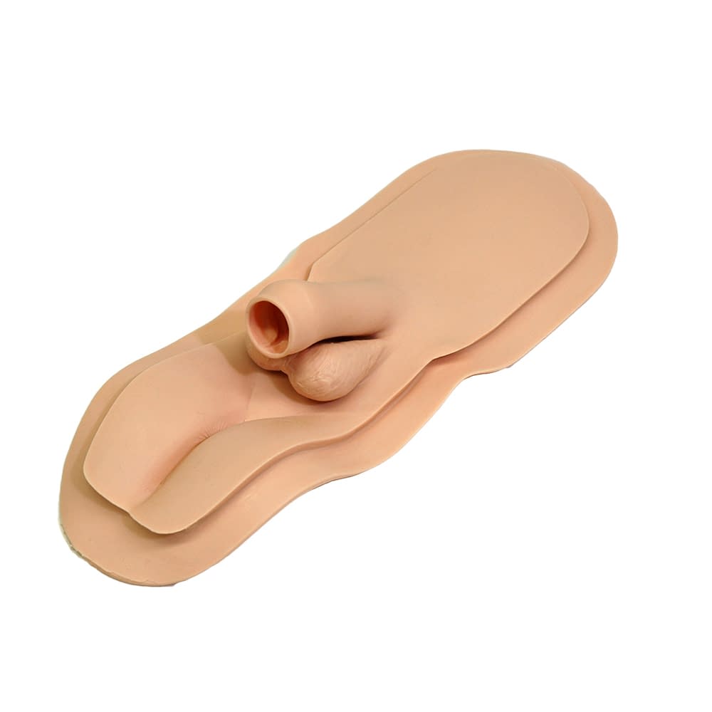 男性用性器部皮膚II トレーニングモデル 23-7541-10 京都科学 11381-410