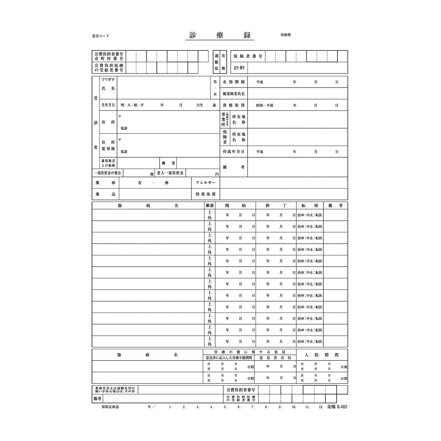 カルテ用紙(A4・1号用紙) K021 A4・1号用紙 23-7963-00 金鵄製作所 K-021(500マイイリ)