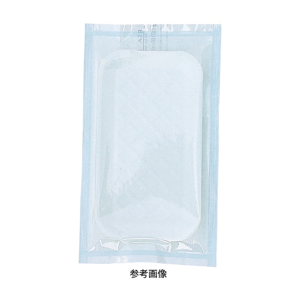 ステラパック(ロールパウチ) 24-3400-04 ビーエスエー・サクライ 5540(3L)200MMX200M