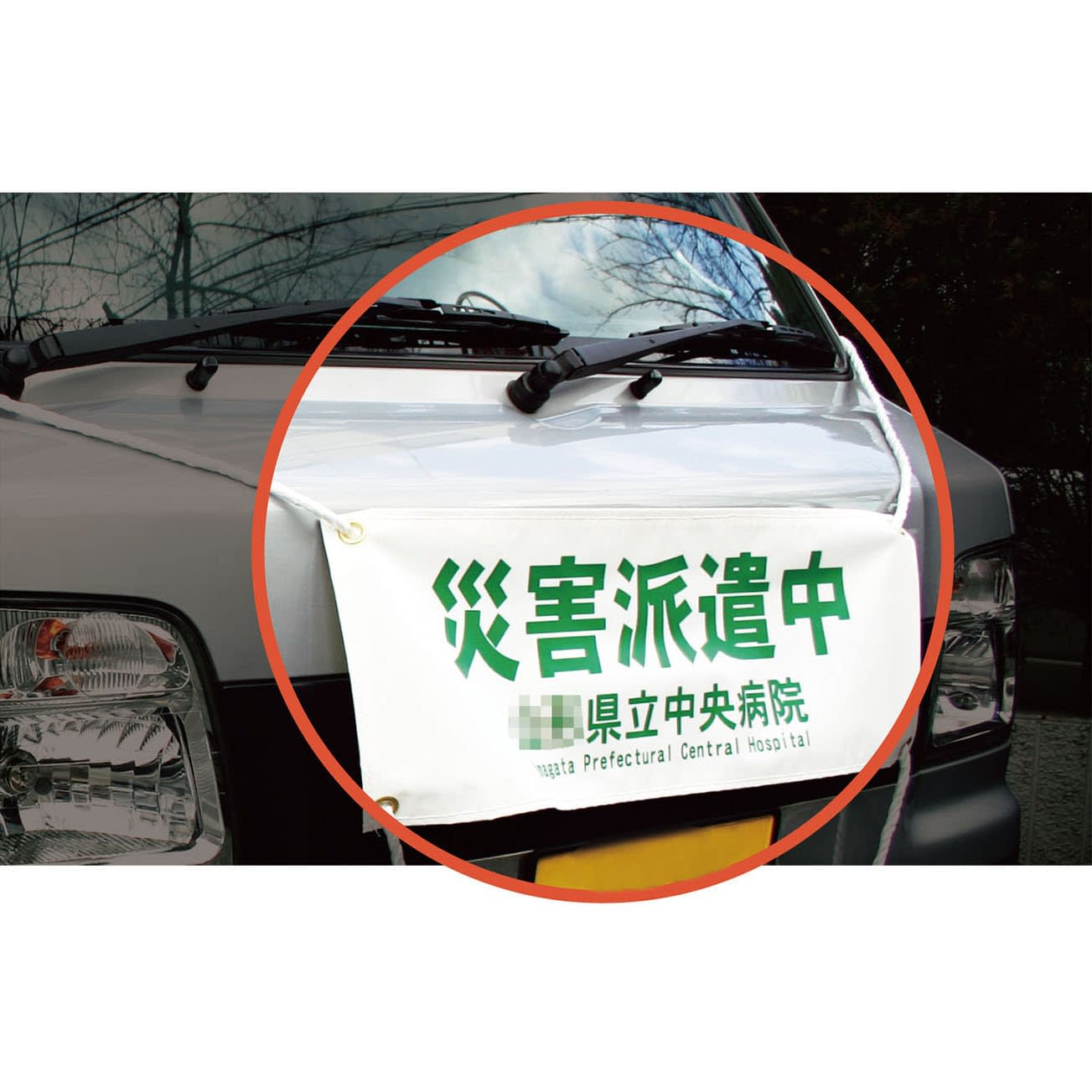 車両幕 24-3938-01 ナカネ 610-1005