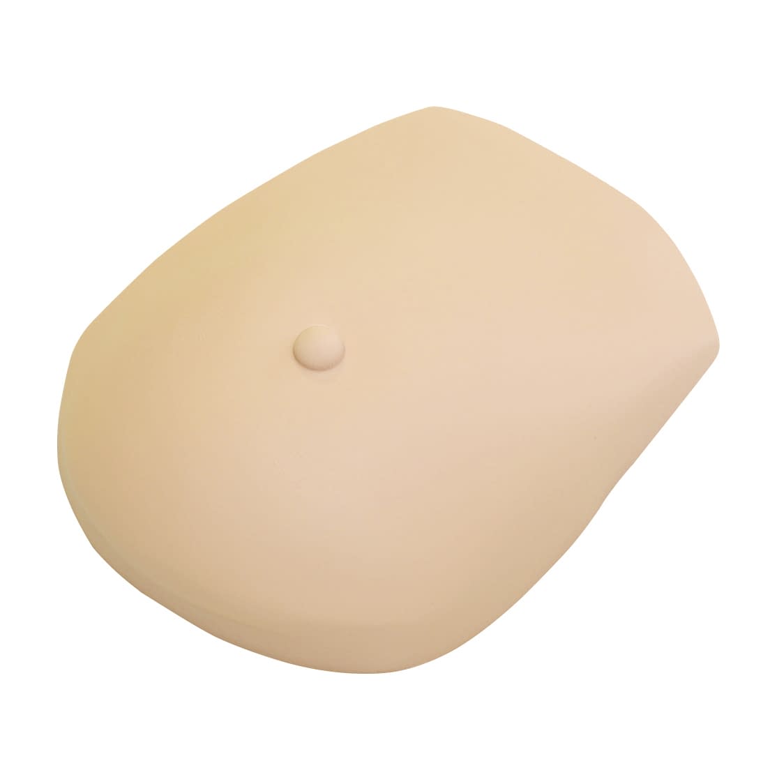 乳がんシミュレータ(エコーモデル) トレーニングモデル 24-5572-01 バイオスキン BMC-02(ヒョウジュンショク)