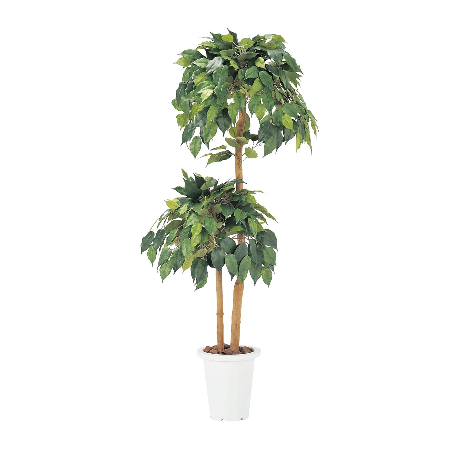 人工樹木 24-6107-03 ニシキ工業 FGN-BJ(ベンジャミン)