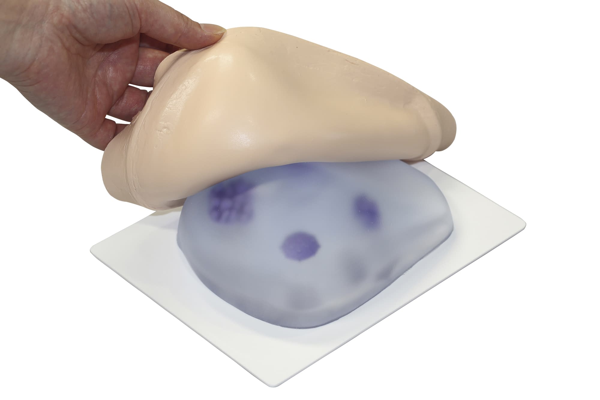 乳がん触診モデル(カバータイプ) トレーニングモデル 24-6961-00 バイオスキン BMC-03