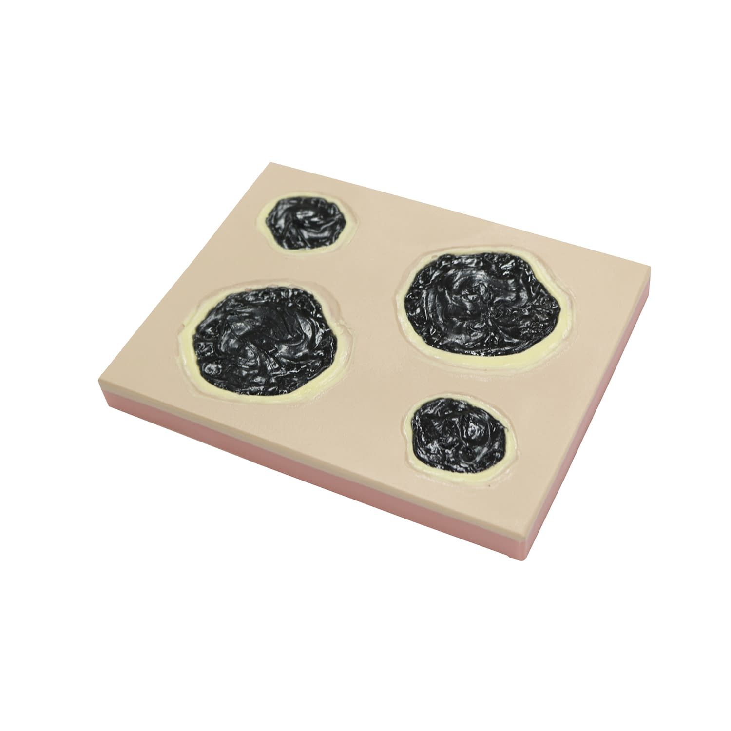 褥瘡切除モデル 切除トレーナー 24-8252-00 バイオスキン BBS-18