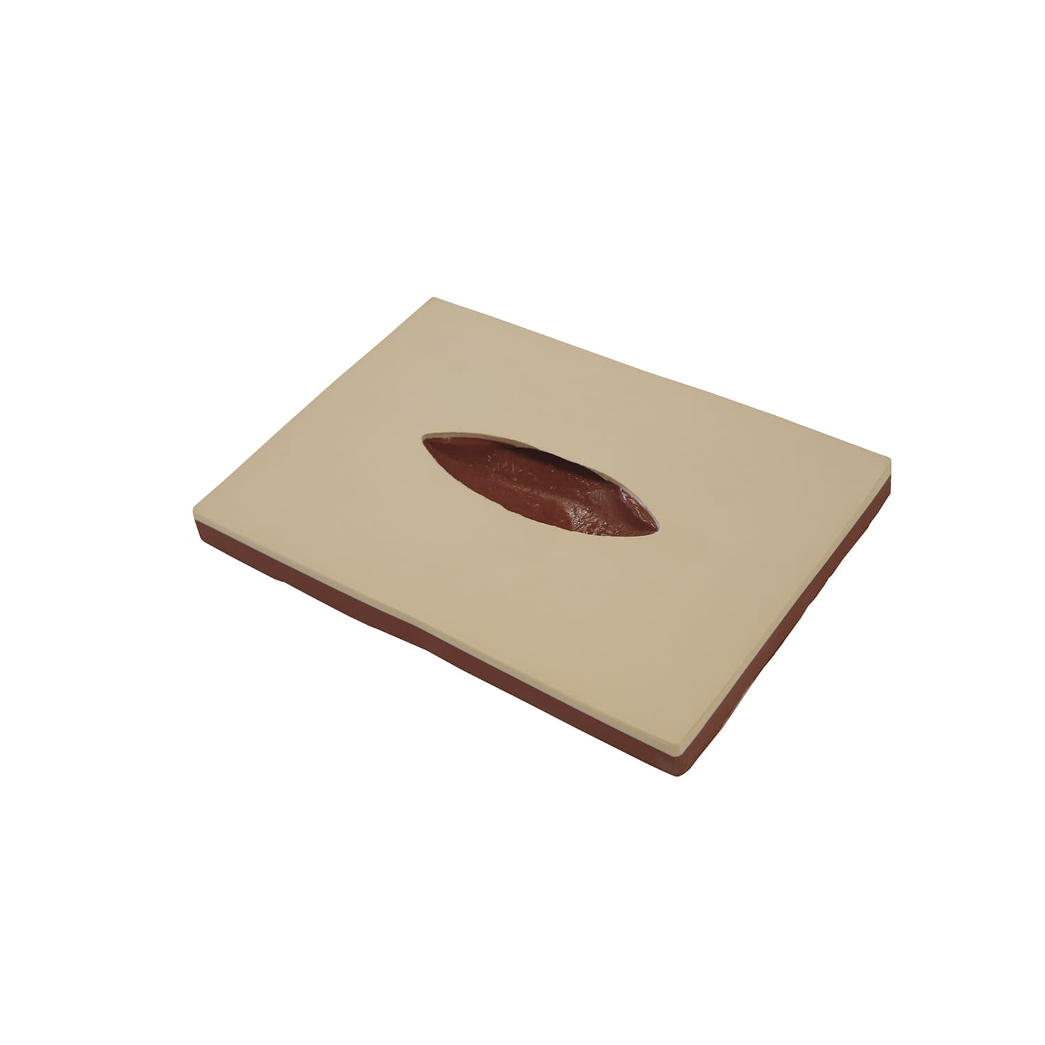 創傷管理モデル 創傷管理トレーナー 24-8253-00 バイオスキン BDR-A4