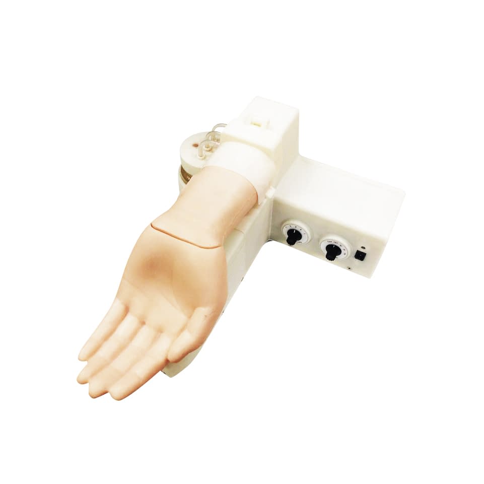 動脈注射トレーニングアーム 24-8250-00 日本ライトサービス 443050