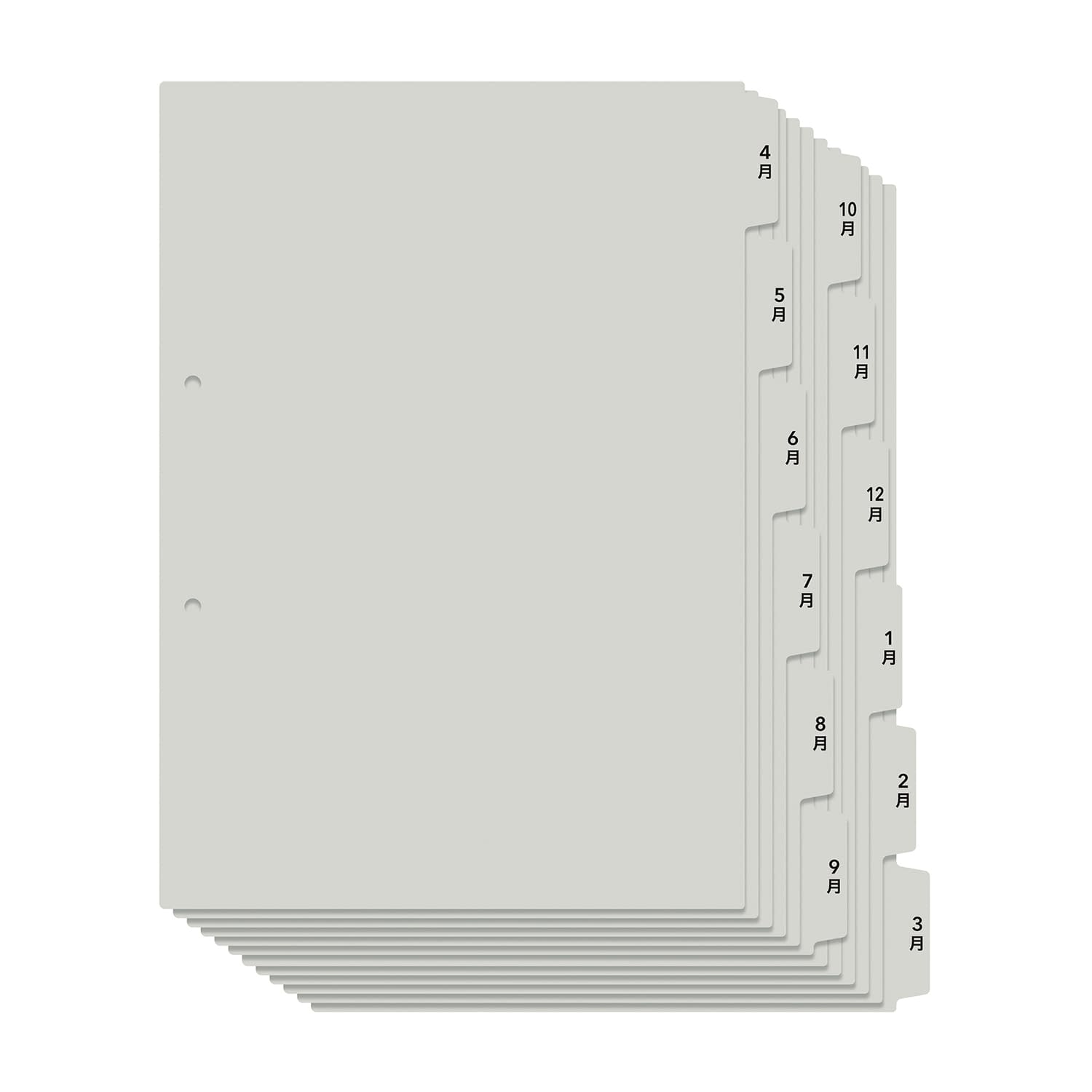 利用者カルテ用インデックス(4~3月 24-8244-13 プラス FL-809IS(98080)12マイ