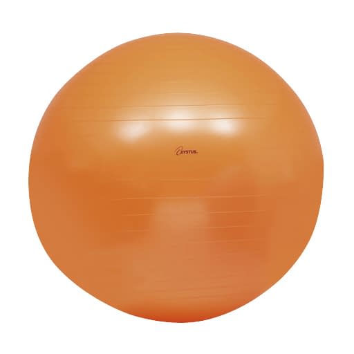 ボディボール85 25-2059-04 トーエイライト H7264