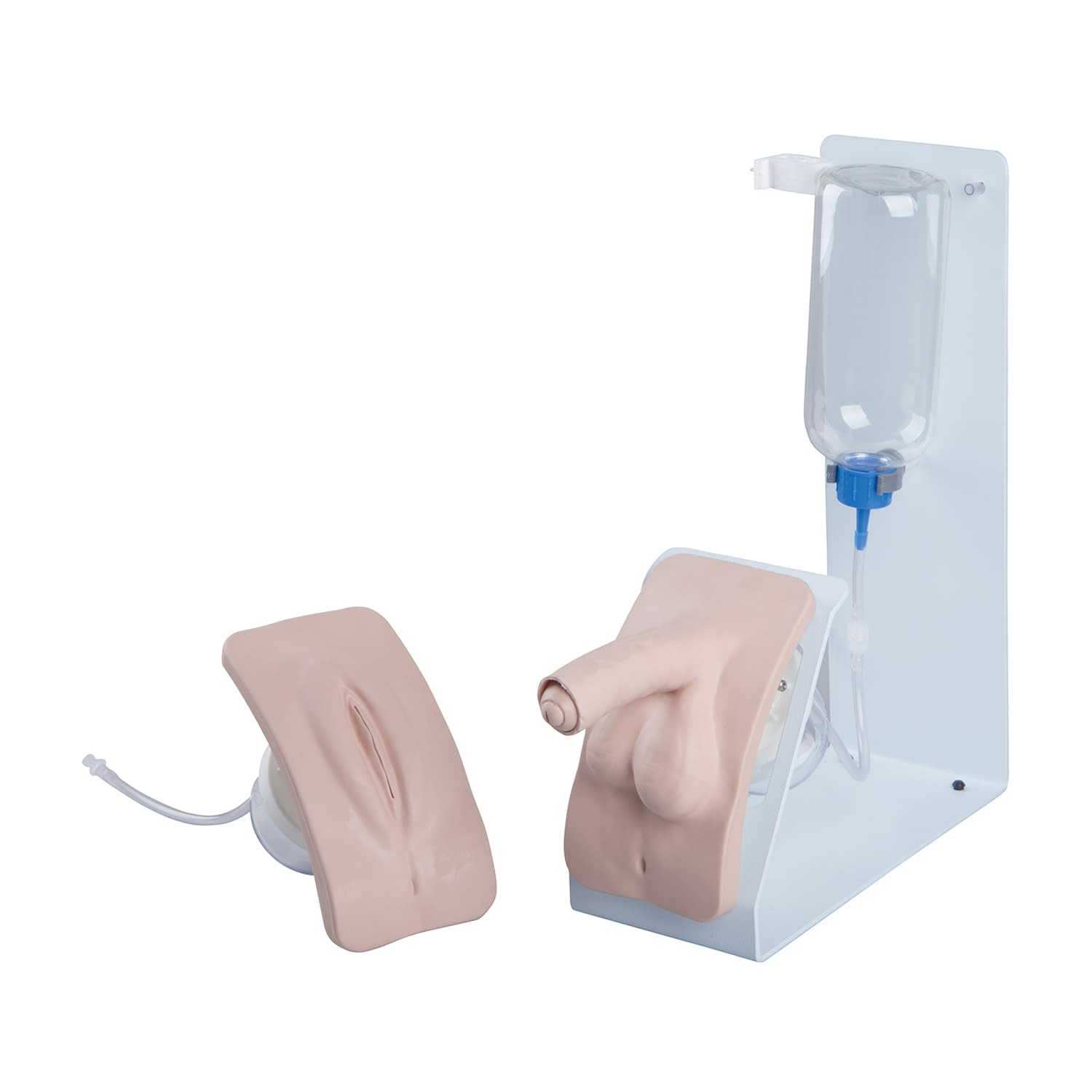 導尿シミュレーターベーシックセット 25-3007-00 日本スリービー・サイエンティフィック P93B-S