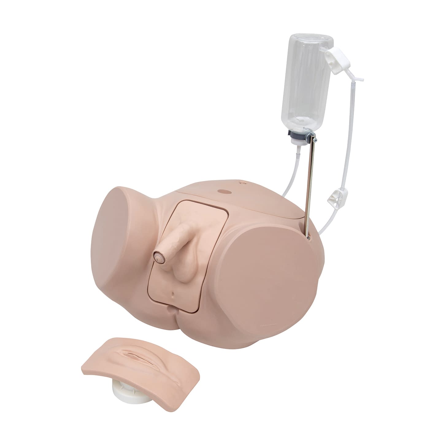 導尿シミュレータープロセット 25-3007-01 日本スリービー・サイエンティフィック P93SPC-S