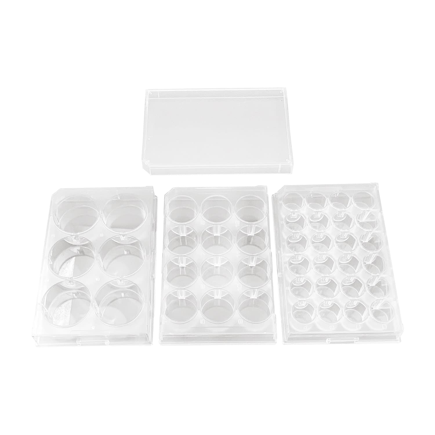 微生物・浮遊物培養プレート(12穴) 12穴 マイクロプレート 25-6141-01 ステム P12F01S(60マイ)