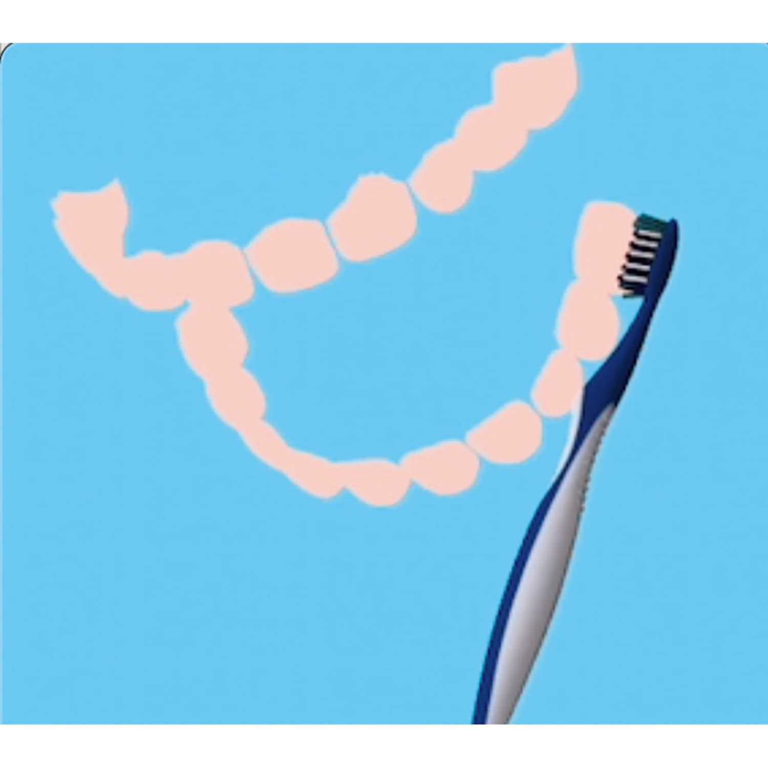 はみがき支援ツールわくピカオーラルケ 25-7250-00 Temari W-1