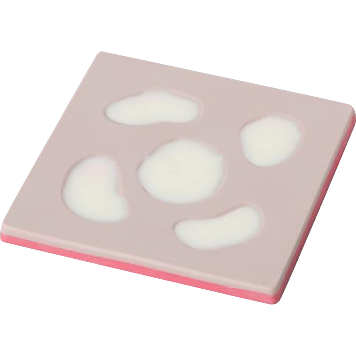 褥瘡シミュレータ用アルサーノン トレーニングモデル 25-5539-01 日本ライトサービス NBJ-002(2マイ)