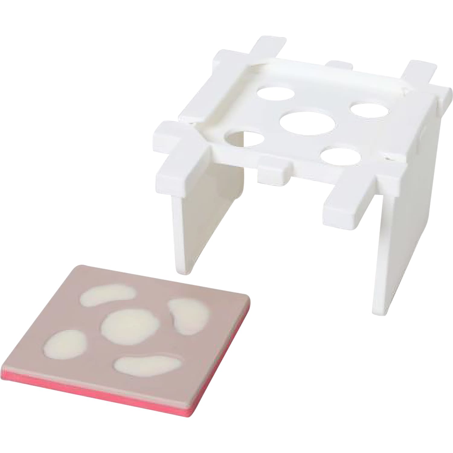 褥瘡シミュレータ用アルサーノンセット トレーニングモデル 25-5539-03 日本ライトサービス NBJS-001