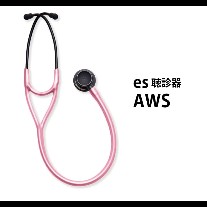 es 聴診器 AWS
