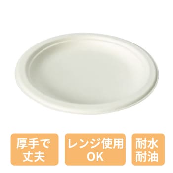 さとうきびプレート